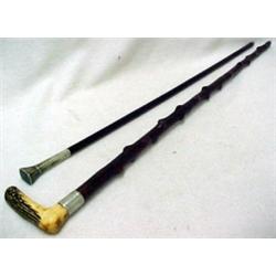 Victorian cane and walking stick, cane with b