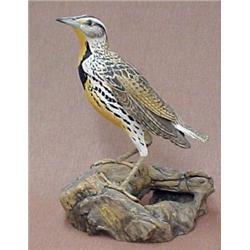 Hand carved and painted lifesize bird "Meadow