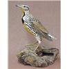 Image 1 : Hand carved and painted lifesize bird "Meadow
