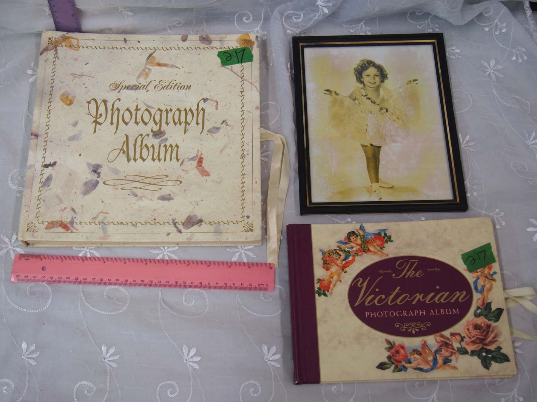 Lot of 2 Photograph Albums The Victorian Photograph Album & Special
