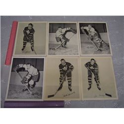 Lot of Quaker Hockey Photos (6)