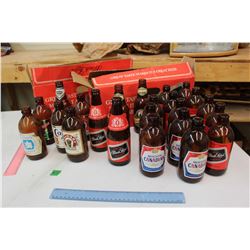 Lot of Beer Bottles (Molson Canadian, Black Lable, Cincinnati Cream, Molson Golden, Bohemian, Labatt