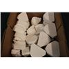Image 2 : Box of Tooth Molds