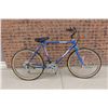 Image 2 : Blue Summit Raleigh Bike ("40x"65)