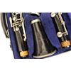 Image 2 : Bundy Clarinet and Case