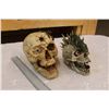 Image 1 : Toy Skulls (2)