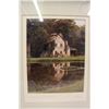 Image 2 : Framed Photo by Alan Klug (15" x 17")