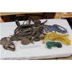 Halters Lead Shank Hagnets