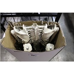 HALLOWEEN DECORATIONS