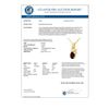 Image 2 : 1.0 CTW Garnet & Diamond Pendant 10K Yellow Gold - REF-9N3Y - 12813