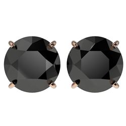 4 CTW Fancy Black VS Diamond Solitaire Stud Earrings 10K Rose Gold - REF-79T9M - 33135