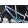 Image 2 : GREY CARRERA JUICE BIKE