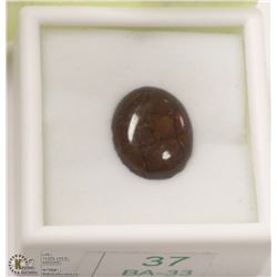 37) GENUINE CANADIAN AMMOLITE GEMSTONE