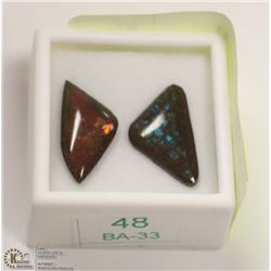 48) GENUINE CANADIAN AMMOLITE GEMSTONE