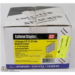 BOX OF GRIP RITE COLLATED STAPLES 1" 10,000 PCS