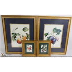 SET OF 4 FRUIT WALL PICTURES