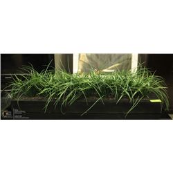SHOWHOME ARTIFICIAL PLANT DISPLAY, RECTANGULAR