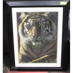 FRAMED W/GLASS TIGER PICTURE 26 X 33 ( HOME )