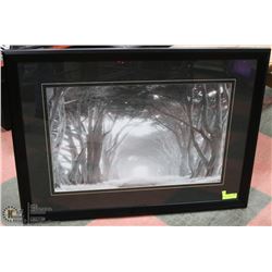 ARCHWAY OF TREES PICTURE