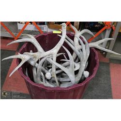 TOTE WITH ASSORTED VINTAGE ANTLER SHEDS