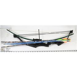 COMPOUND BOW AND ARROW
