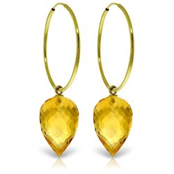 Genuine 19 ctw Citrine Earrings Jewelry 14KT Yellow Gold - REF-38P6H