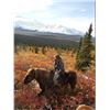 Image 4 : 10-Day Alaska Moose Hunt