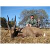 Image 3 : 5-Day South Africa Plains Game Hunt for 2 Hunters & 2 Observers