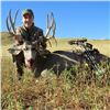 Image 1 : 5-Day Montana Whitetail or Mule Deer Hunt