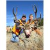 Image 3 : 5-Day Montana Whitetail or Mule Deer Hunt
