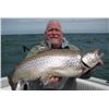 Image 2 : 8-Hour Lake Ontario Fishing Charter for 4