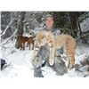 Image 3 : 5-Day British Columbia Bobcat Hunt