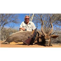 7-Day South Africa Nyala Hunt for 2