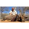 Image 1 : 7-Day South Africa Nyala Hunt for 2