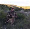 Image 2 : 2-Day Texas Aoudad Hunt with Trash Rack Ranch