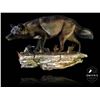 Image 1 : Life-size Taxidermy Mount Including Hardwood Base & Habitat Display