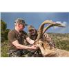 Image 1 : 3-Day Management Ibex hunt in Beceite Mountains of Spain