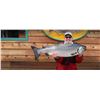 Image 2 : 4 Day, 3 Night, British Columbia Coastal Fishing Trip for 2 with Coastal Springs Float Lodge