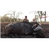 Image 1 : 7-Day Mozambique Free Range Cape Buffalo hunt with Tom Miranda Hunting Safaris