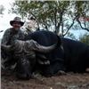 Image 2 : 7-Day Mozambique Free Range Cape Buffalo hunt with Tom Miranda Hunting Safaris