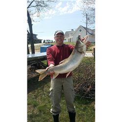 4 Hour Fishing Charter for 4 with Rodmaster Charters