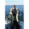 Image 2 : 4 Hour Fishing Charter for 4 with Rodmaster Charters