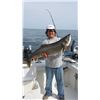 Image 4 : 4 Hour Fishing Charter for 4 with Rodmaster Charters