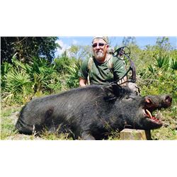 2-Day Trophy Wild Boar Hunt in Florida