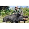 Image 1 : 2-Day Trophy Wild Boar Hunt in Florida