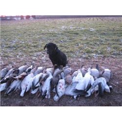 1-Day Chesapeake Duck & Goose Hunt for 4 Hunters