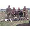 Image 2 : 1-Day Chesapeake Duck & Goose Hunt for 4 Hunters