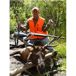 DIY Elk, Mule Deer & Black Bear hunt in Colorado