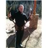 Image 3 : DIY Elk, Mule Deer & Black Bear hunt in Colorado