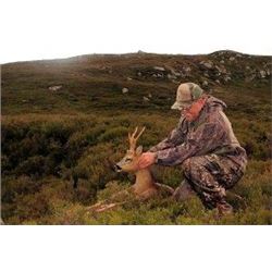 Balmoral Estate Roe Deer Hunt for 1 Hunter 7 Days with 3 days of hunting